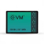 EVM 128GB SATA SSD