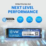 EVM 256GB NVMe Gen3 SSD - Image 3