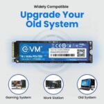 EVM 256GB NVMe Gen3 SSD - Image 4