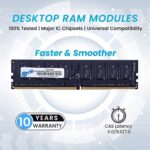 EVM 16GB 3200MHz DDR4 RAM - Image 3